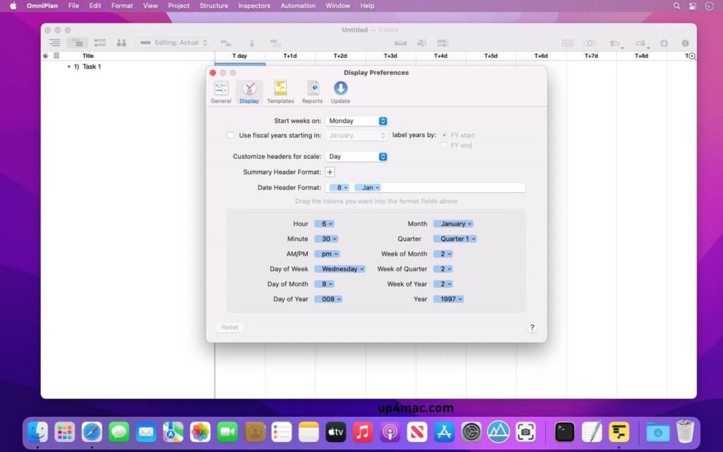 OmniPlan Pro Mac Download