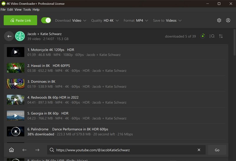 4K Video Downloader Plus Pro